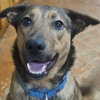 Buster - Photo 1
