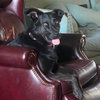 Cora - Photo 3