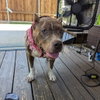 Freyja - Photo 1
