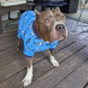 Freyja - Photo 4