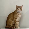 Xander - Photo 1