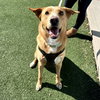 Doug - Photo 1