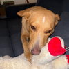 Doug - Photo 2