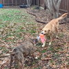 Doug - Photo 3