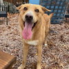 Doug - Photo 4