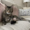 Bobbi - Photo 3