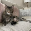 Bobbi - Photo 3