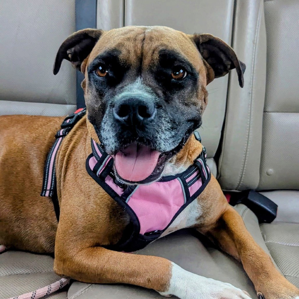 Shelby Grace (New Digs) Image
