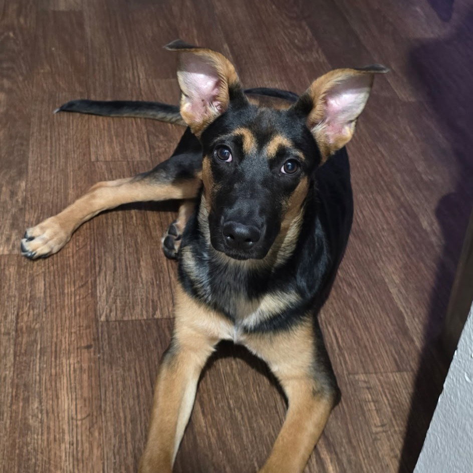 Riley III (New Digs) Image