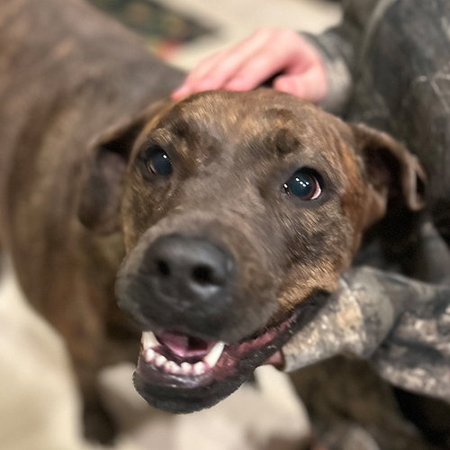 Reese (New Digs) photo 3