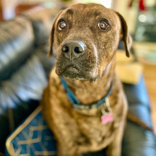 Reese (New Digs) photo 4