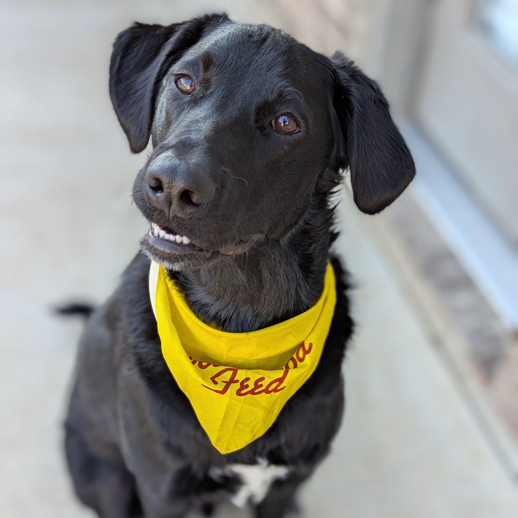 Midnight Train (New Digs) Image