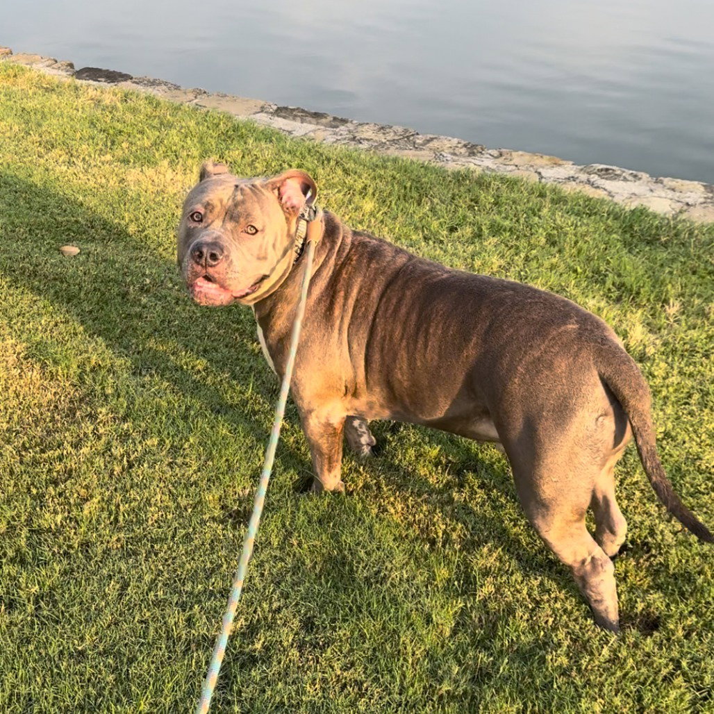 Hoss (new Digs)