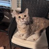 Blu III (New Digs) - Photo 4