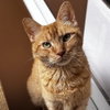 Max - Photo 1