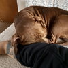 Benny B - Photo 3