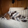 Benny B - Photo 4