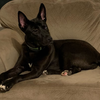 Boo II (New Digs) - Photo 1