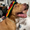 Rudy III (New Digs) - Photo 4