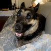 Taz IV (New Digs) - Photo 4