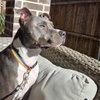 Cooper XI (New Digs) - Photo 2