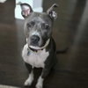 Cooper XI (New Digs) - Photo 4