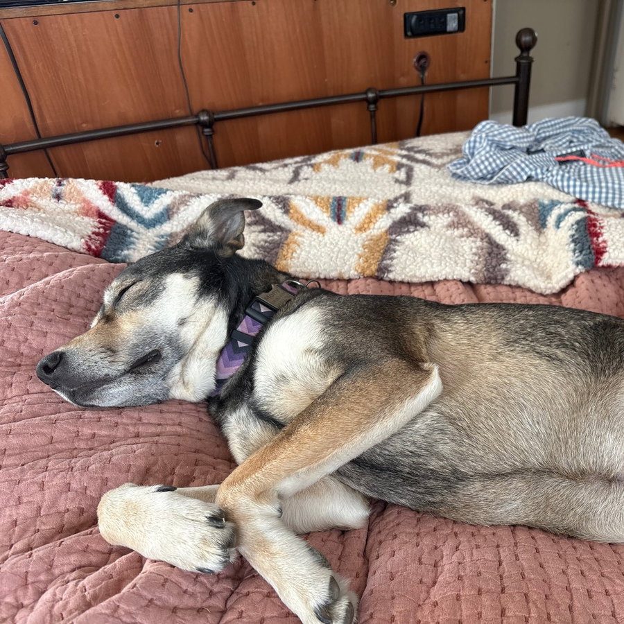 Ramona Quimby (New Digs)