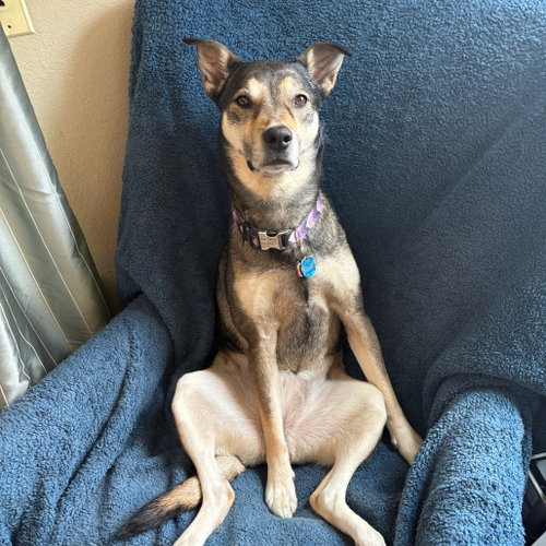 Ramona Quimby (New Digs)