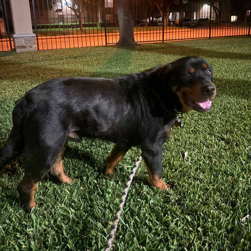 Smokey VI (New Digs) Image