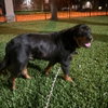 Smokey VI (New Digs) - Photo 1