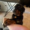 Smokey VI (New Digs) - Photo 3