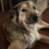 Desiray Rebel (New Digs) - Photo 4