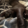 Marbles (New Digs) - Photo 2