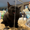 Marbles (New Digs) - Photo 4
