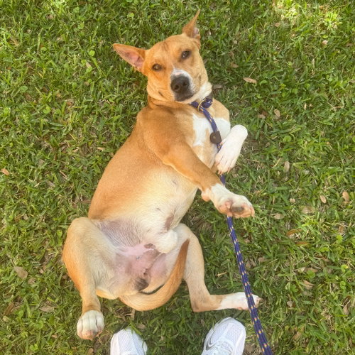 Frankie photo 4