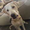 Freya V (New Digs) - Photo 1