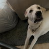 Freya V (New Digs) - Photo 4