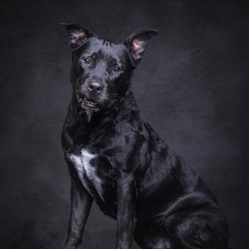 Bella