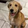 Daisy - Photo 4