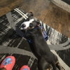 Luke III (New Digs) - Photo 2