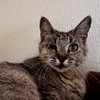 JO - Photo 1