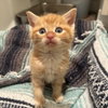 Phineas - Photo 4