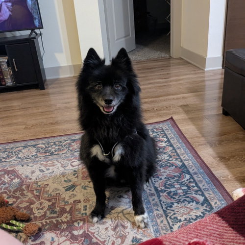 Finn IX (New Digs)