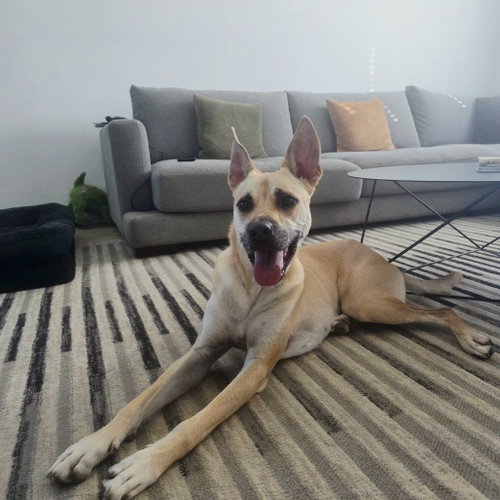 Marley IV (New Digs) photo 2