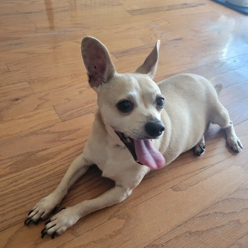 Leroy image 2