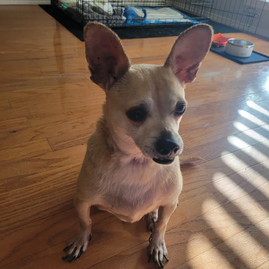 Leroy image 3