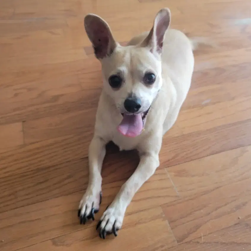 Leroy image 4