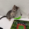 Franklin - Photo 3