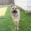Wally - Photo 1