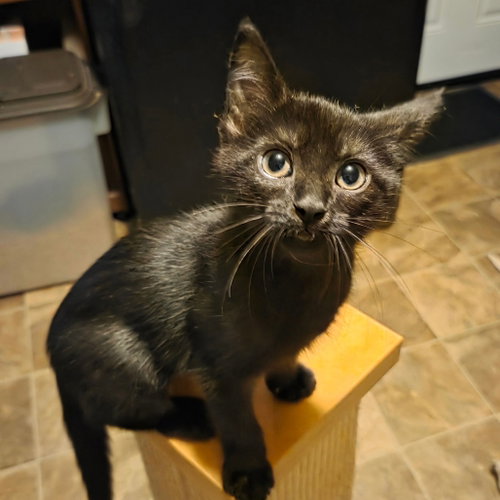 Teeny